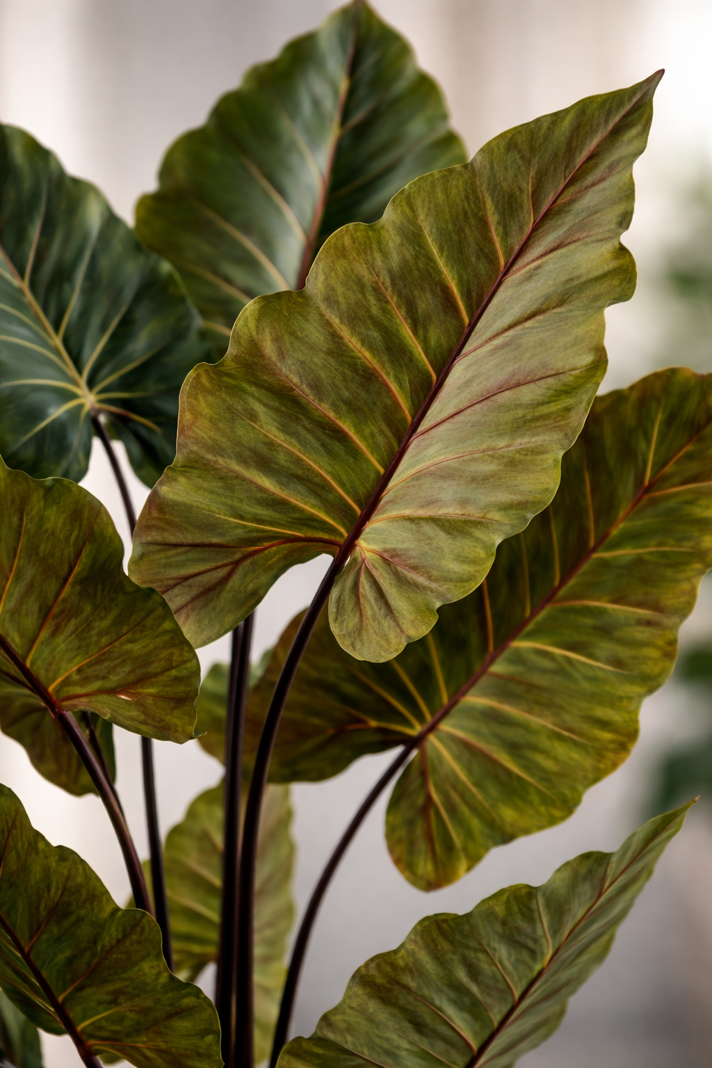 ხელოვნური დეკორატიული მცენარე ქოთნით (160სმ ) IDEA 05-1 (YD28110)